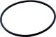 Wolf-O-Ring-70x3-fuer-CGB-8612015 gallery number 1